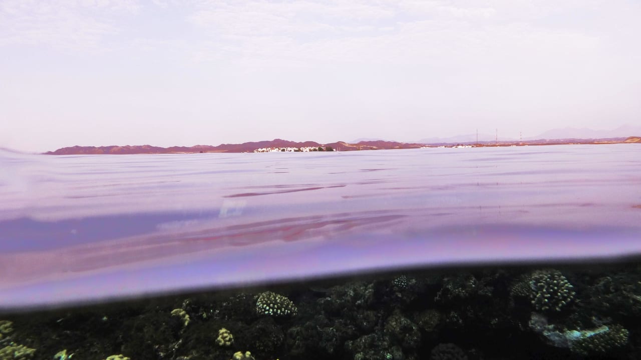 Blick zum Lahami Lahami Bay Beach Resort