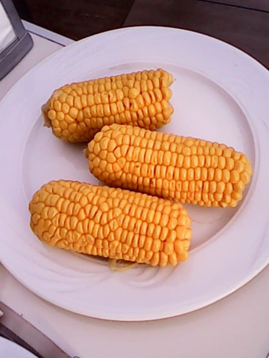 Super lecker Hotel Delphin Imperial