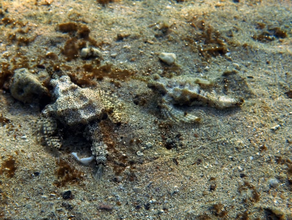 Sport & Freizeit Hotel Coral Garden