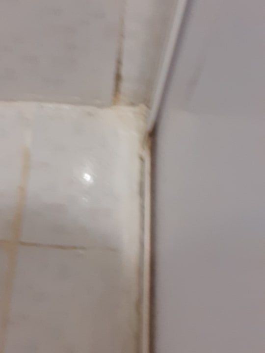 Zimmer Clover Magic Nova Beach