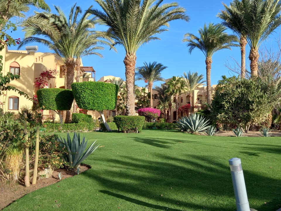 Gartenanlage Steigenberger Coraya Beach - Adults only