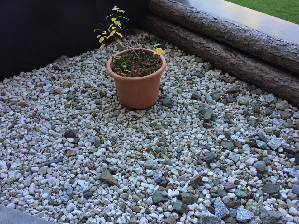 Ausblick Cyprianerhof Dolomit Resort