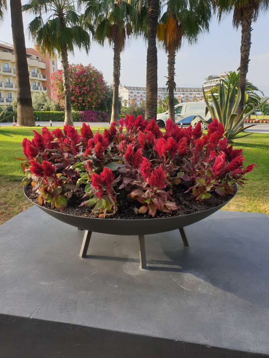 Gartenanlage Hotel Miamare Beach