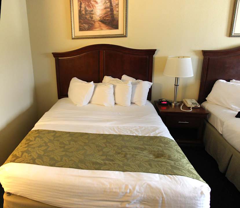 Zimmer Best Western Shepherdsville