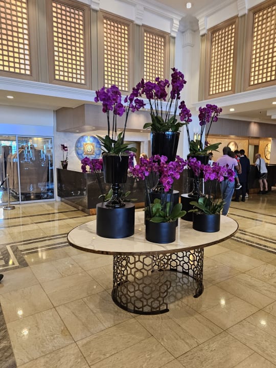 Gastro Hotel Swissôtel The Bosphorus