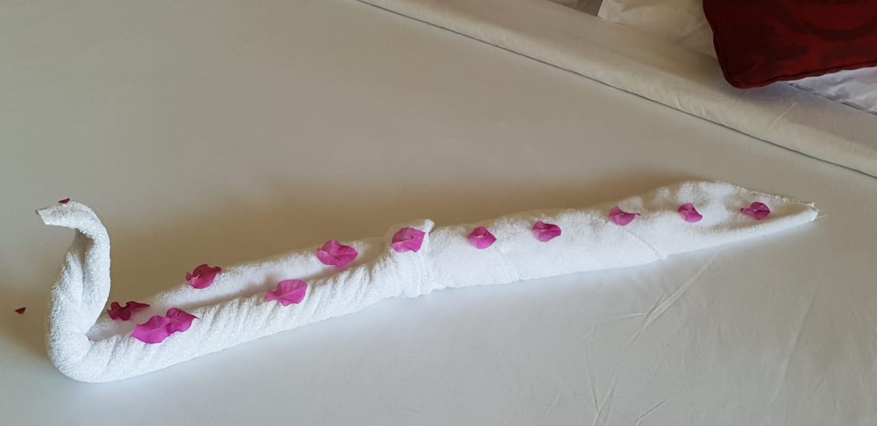 Zimmer TUI MAGIC LIFE Kalawy