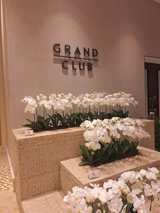 Lobby Grand Hyatt Dubai