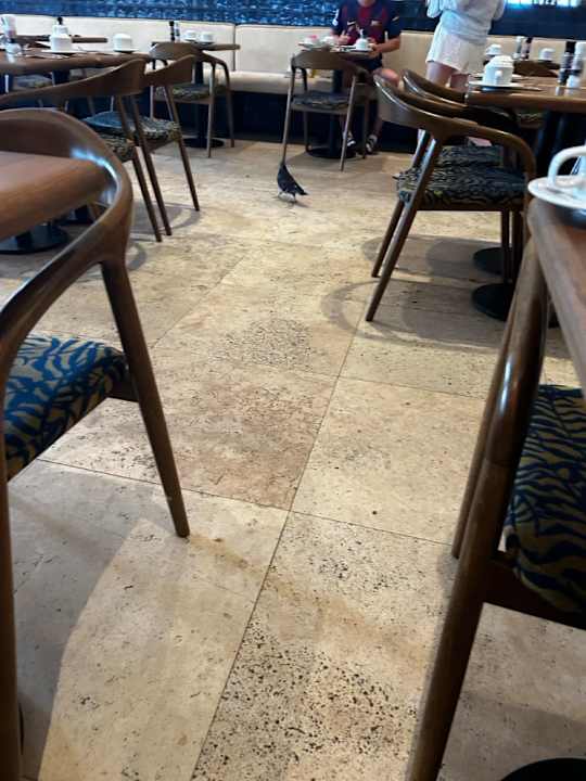 Gastro The Rif At Mangrove Beach Corendon Curacao All-Inclusive, Curio by Hilton