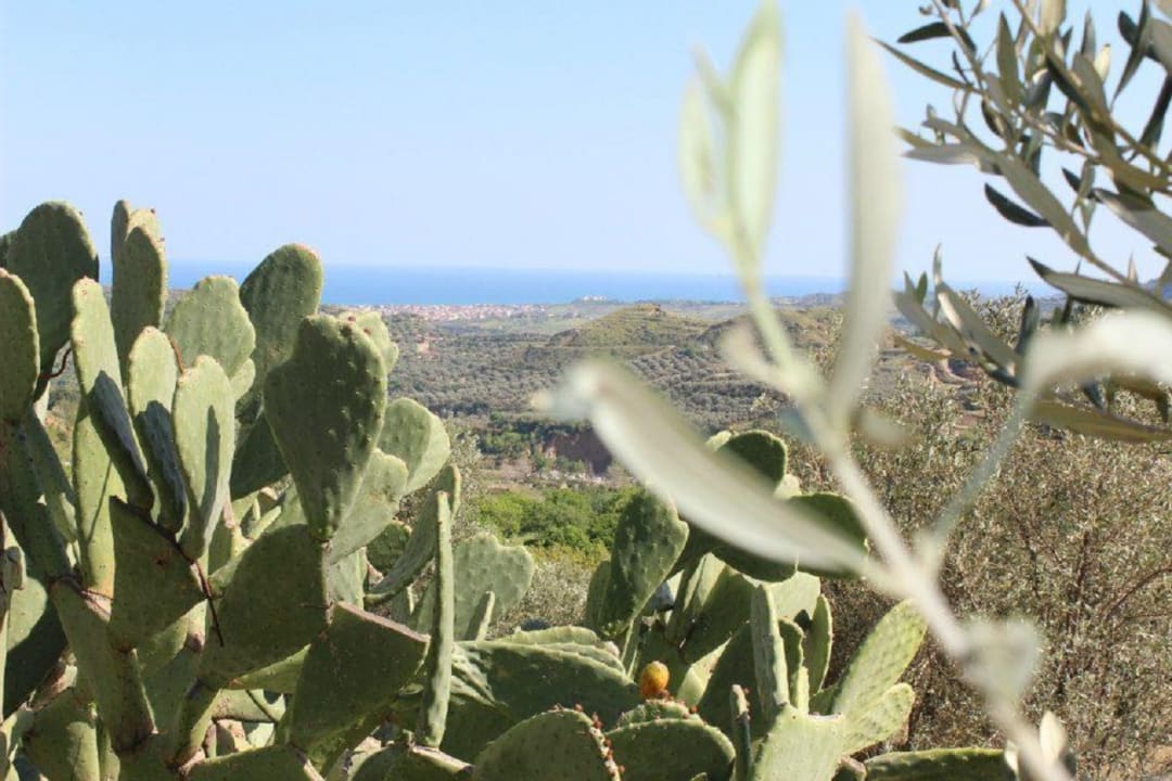 Sonstiges Agriturismo Podere Pansera