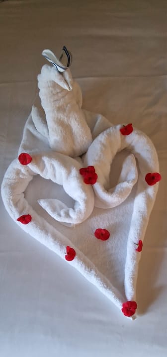 Zimmer Pickalbatros Sands Hotel - Port Ghalib