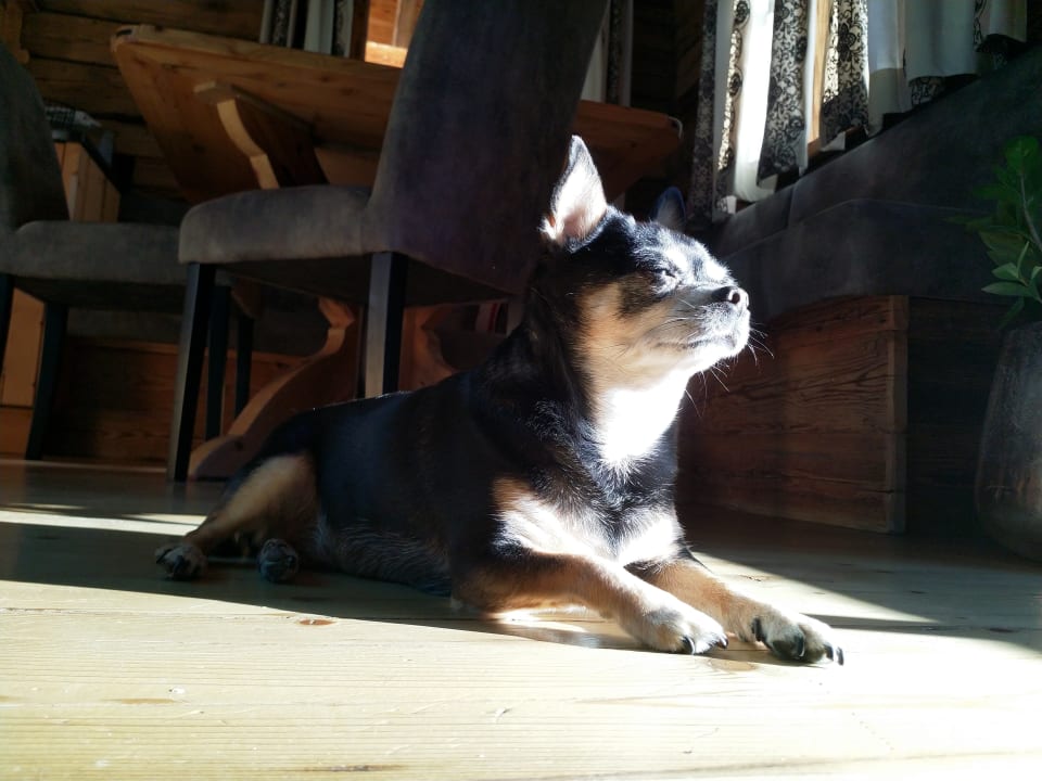 Sonstiges Chaletdorf Auszeit