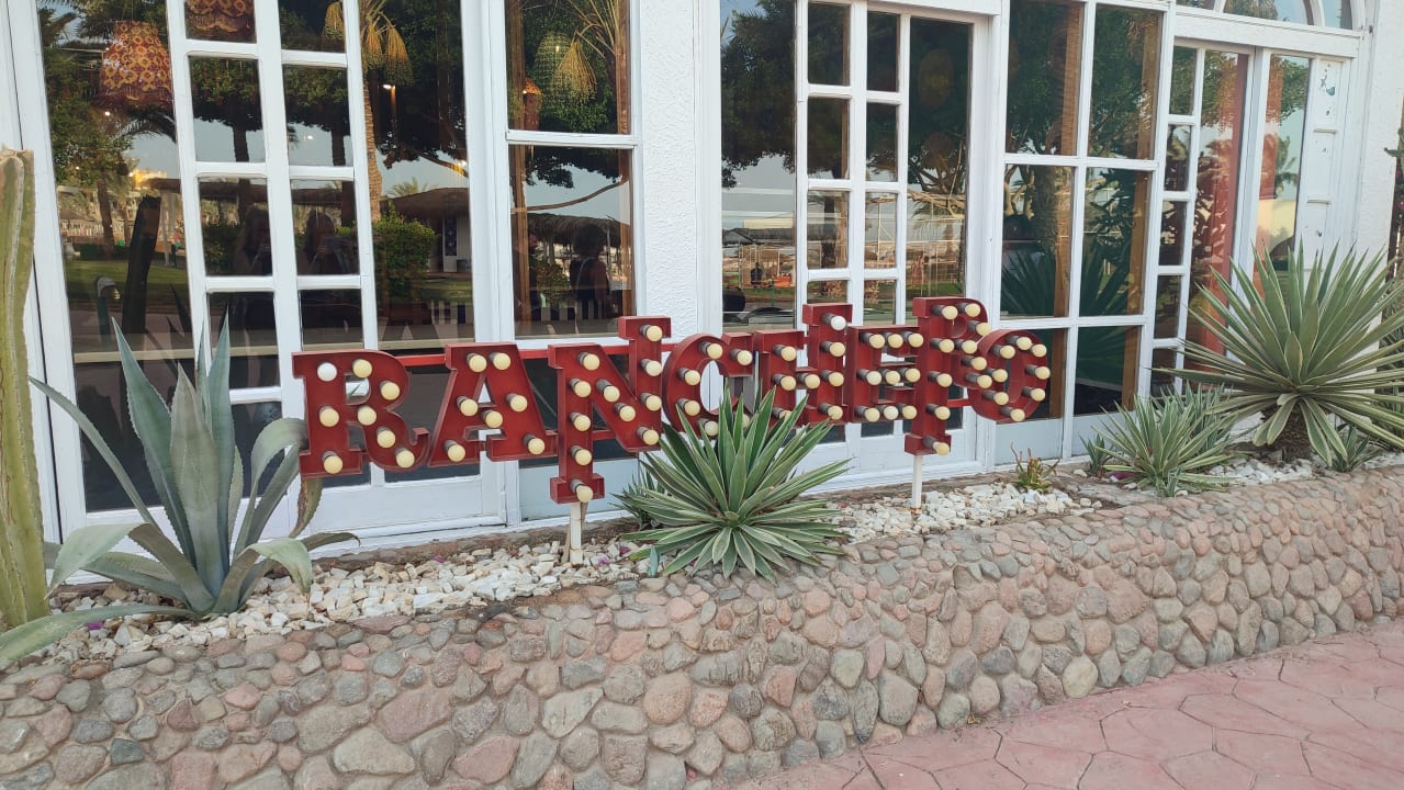 Sonstiges Desert Rose