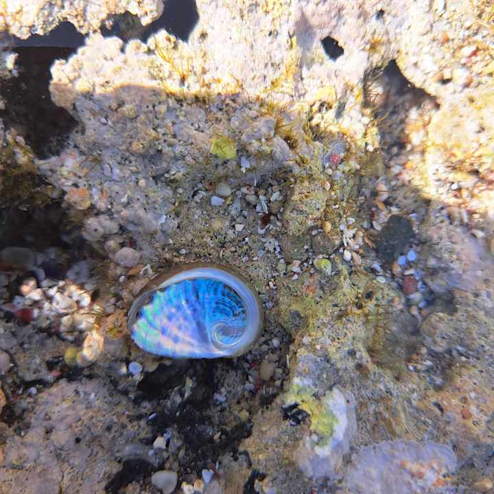 Strand Pickalbatros Villaggio Resort - Portofino