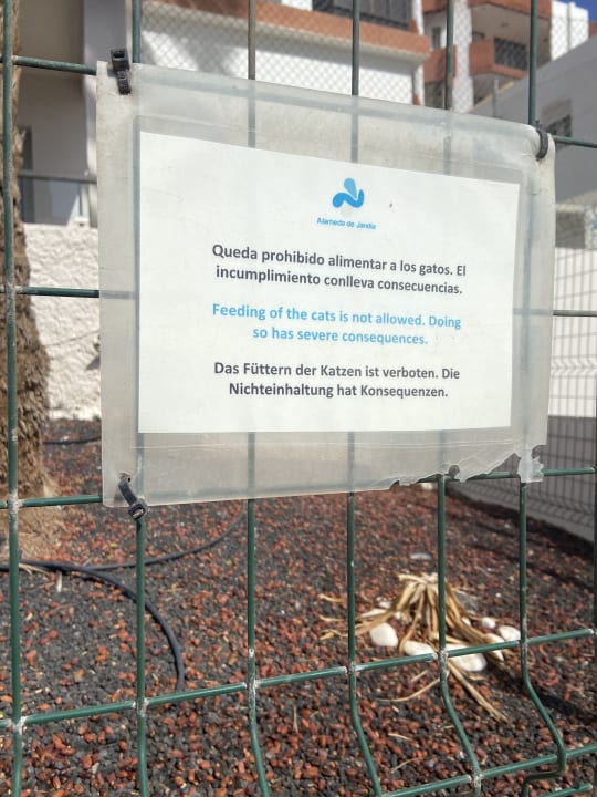 Sonstiges Servatur Alameda de Jandía