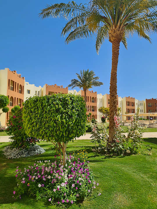 Außenansicht SUNRISE Royal Makadi Resort