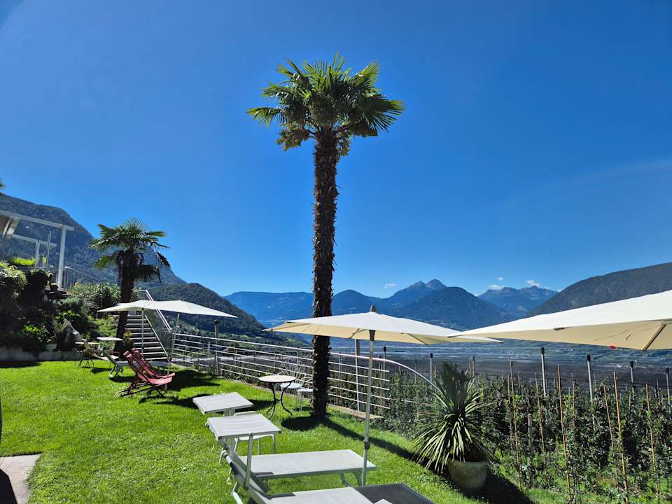 Pool Apartments Graf Hartwig