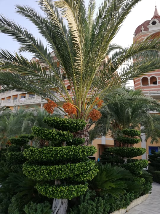 Gartenanlage Royal Alhambra Palace