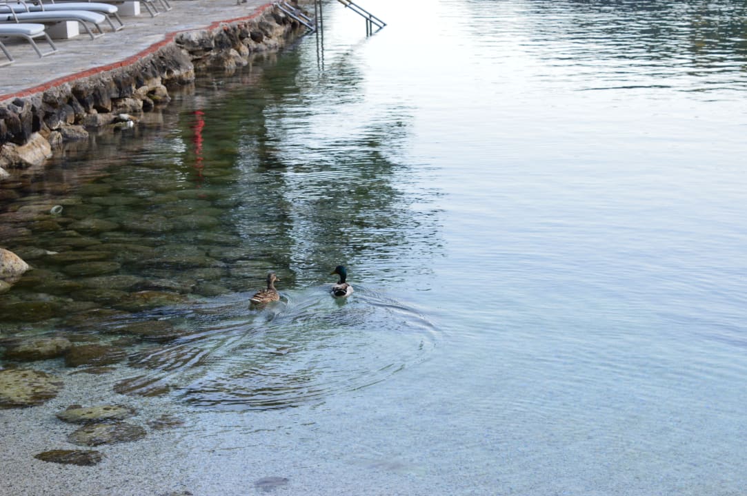 Strand Hillside Beach Club