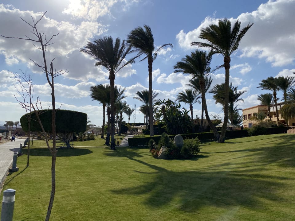 Gartenanlage Steigenberger Coraya Beach - Adults only