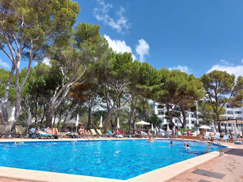 Pool Universal Hotel Lido Park & Spa