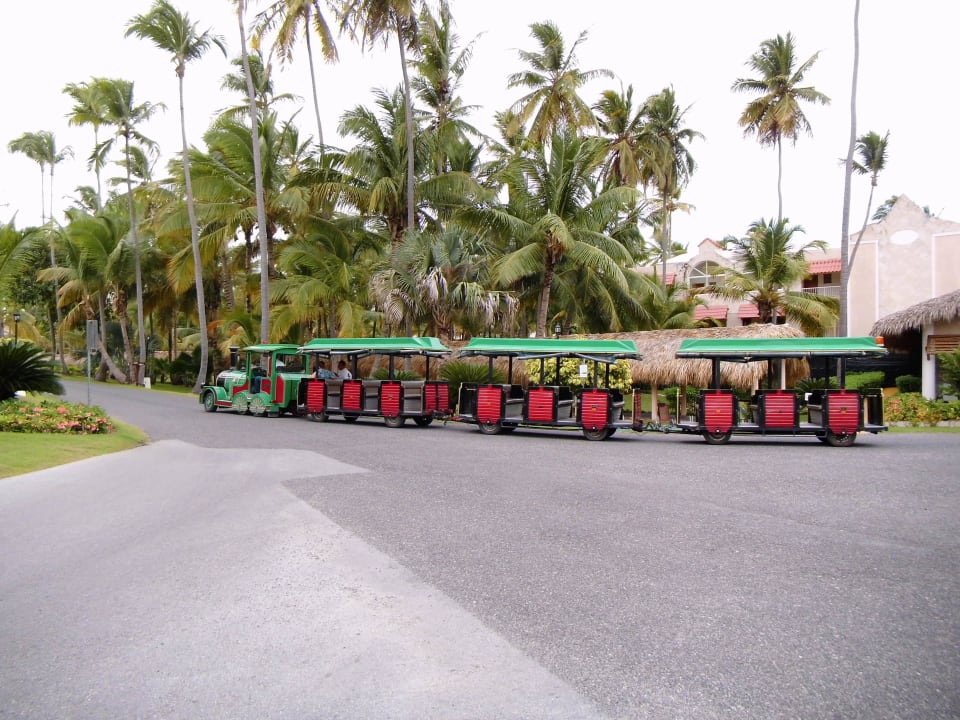 Hotel Grand Palladium Punta Cana Resort & Spa Grand Palladium Punta Cana Resort & Spa