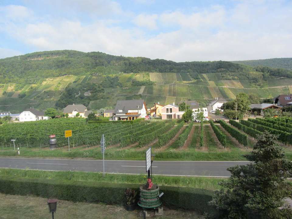 Ausblick Pension-Weinhaus Flesch-Prüm