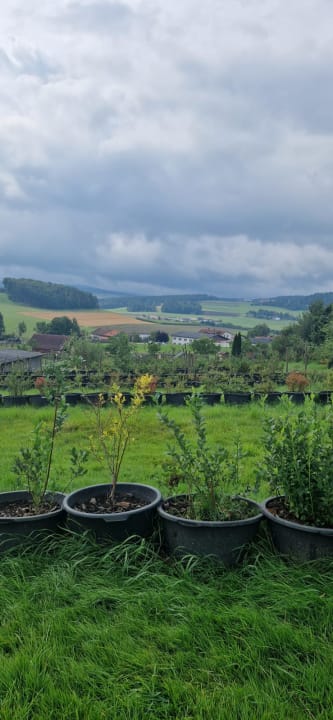 Ausblick Familotel Der Böhmerwald - Euer Familienhotel im Bayerischen Wald
