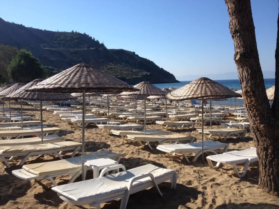 Plaża Aria Claros Beach & Spa Resort