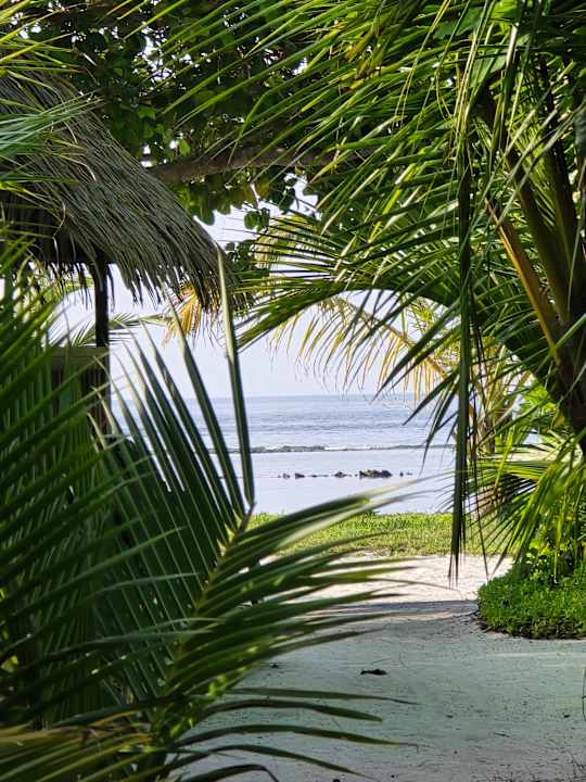 Außenansicht Kuredu Island Resort & Spa