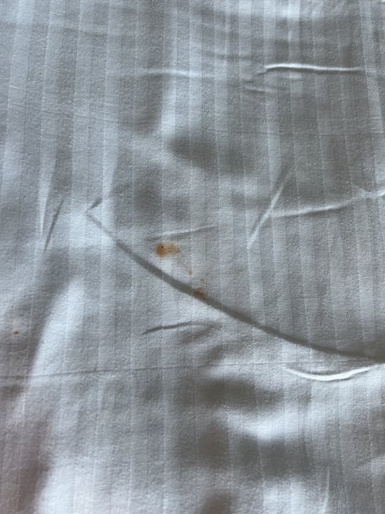 Zimmer Hotel Delphin Imperial