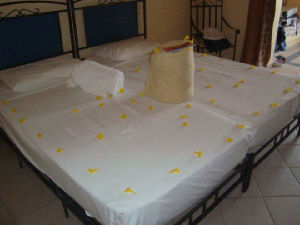 Geburtstagsüberraschung Jaz Makadi Oasis Resort