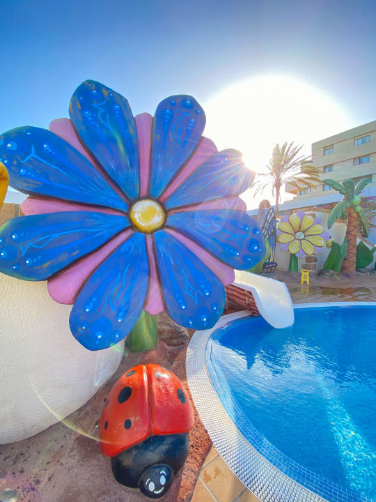 Pool Iberostar Waves Gaviotas Park