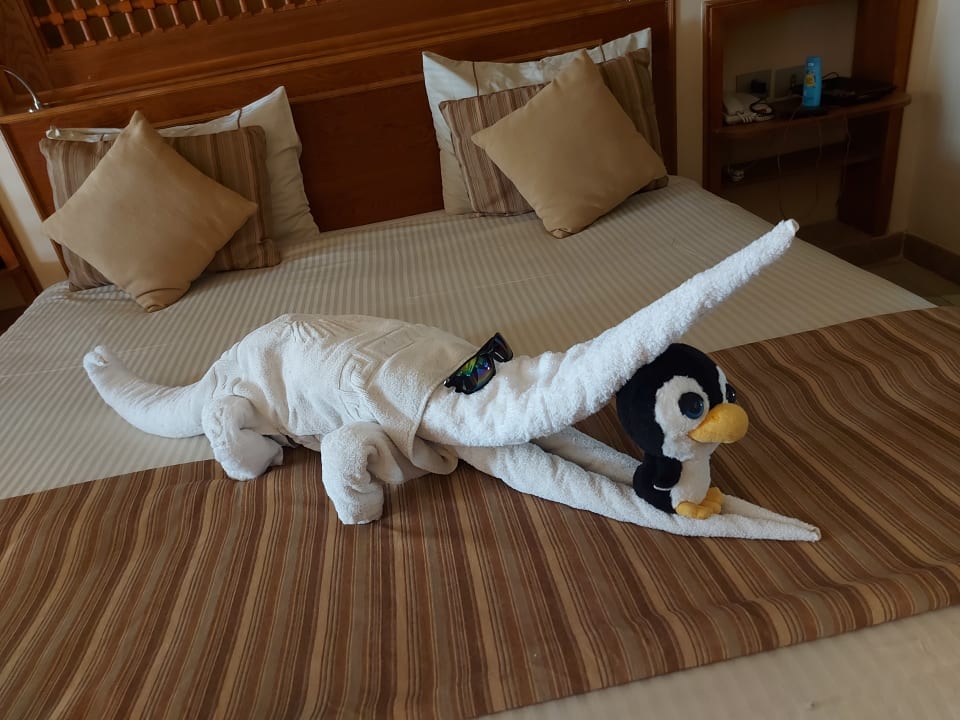 Zimmer Grand Waterworld Makadi & Family Star Makadi