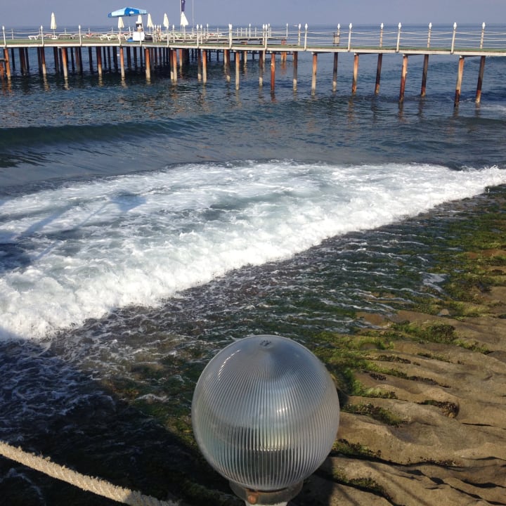Strand Dizalya Palm Garden