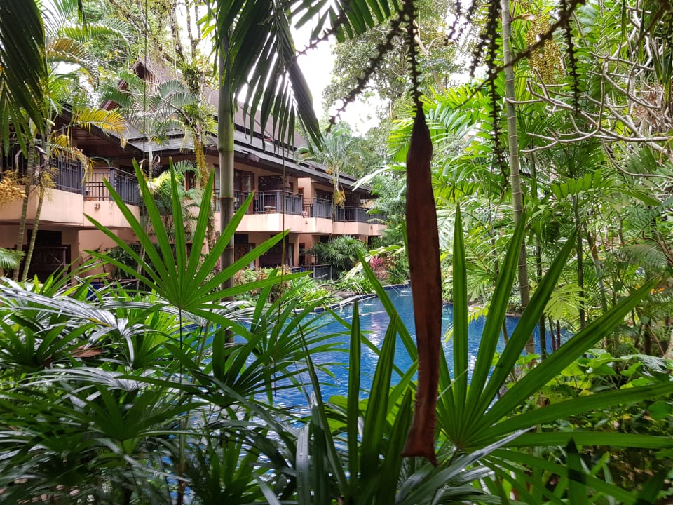 Zimmer Khao Lak Merlin Resort