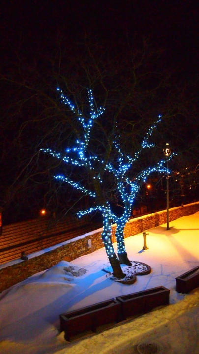 Funkelbäumchen Hotel & Medi-Spa Biały Kamień