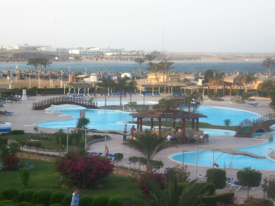 Traumhafter Swimmingpool Malikia Resort Abu Dabbab