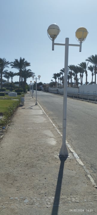 Ausblick Desert Rose