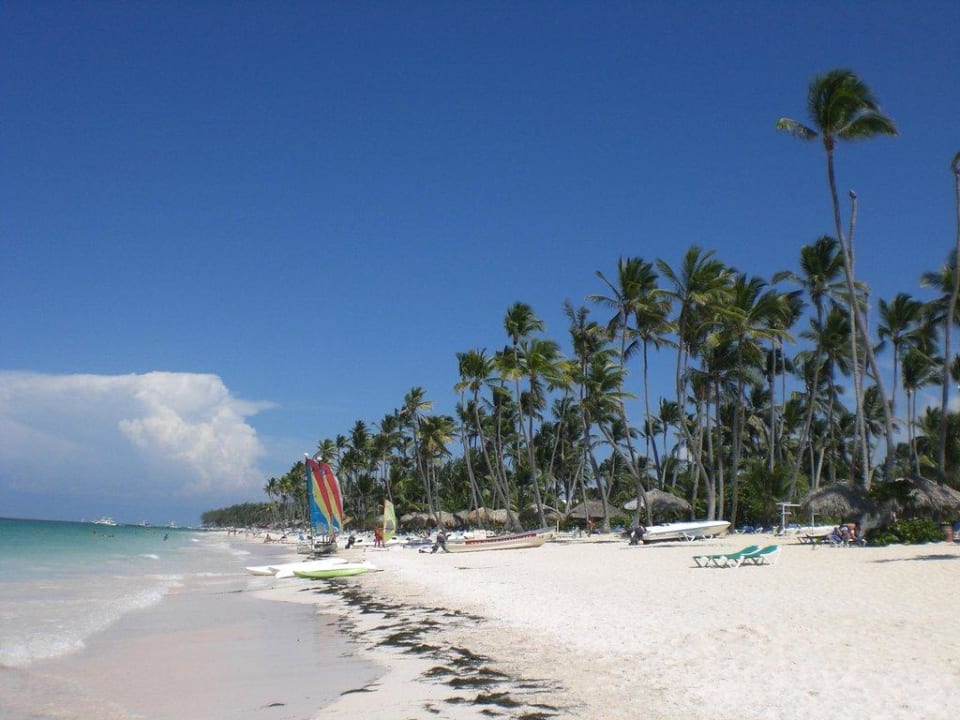 Morgens am Strand Grand Palladium Select Bávaro Resort & Spa