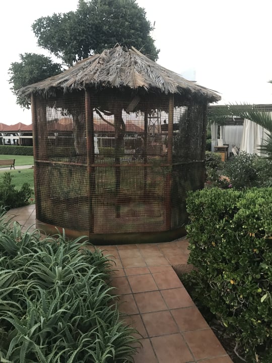 Gartenanlage Anissa Beach & Village