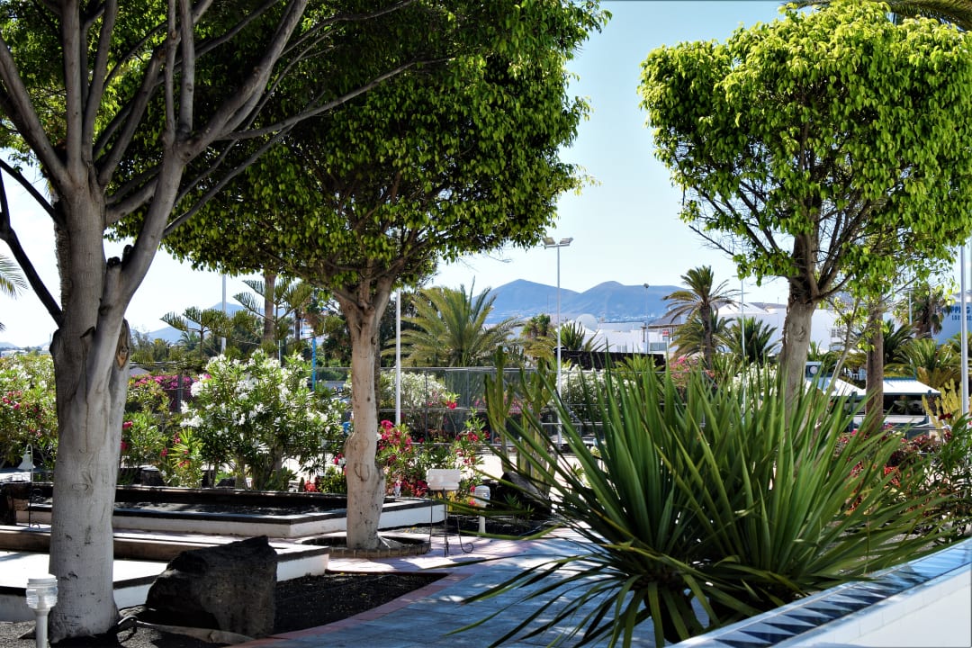 Gartenanlage Seaside Hotel Los Jameos