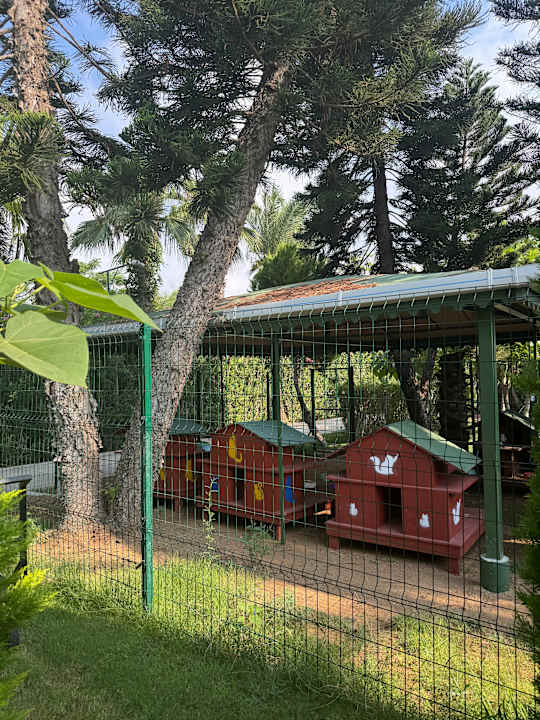 Gartenanlage Hotel Delphin Diva