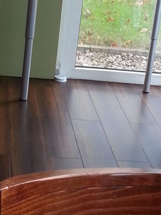 Ameisenköder Good Morning Erfurt