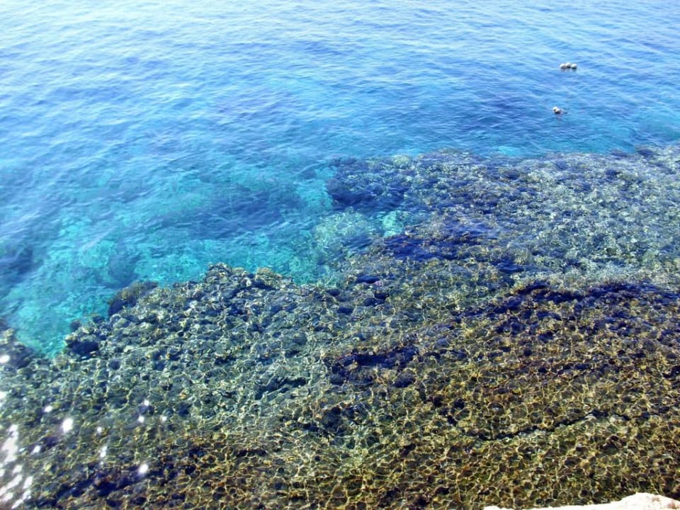 Blick vom Strand auf Hausriff Siva Sharm