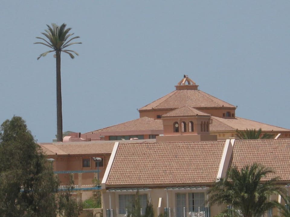 Rezeption mit Palme Mövenpick Resort & Spa El Gouna