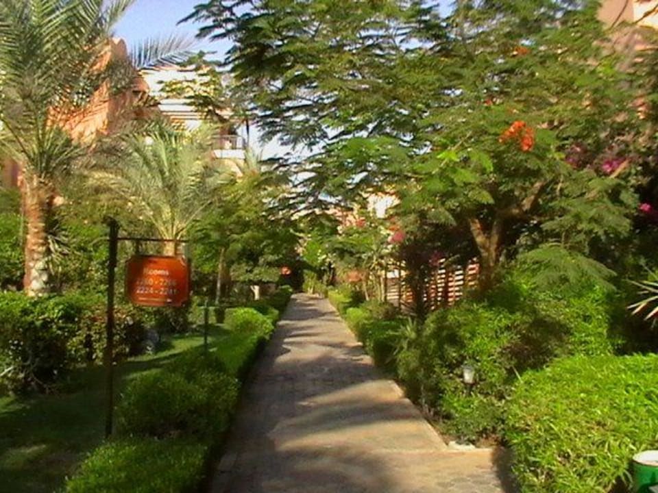 Ogród Jaz Makadi Saraya Resort