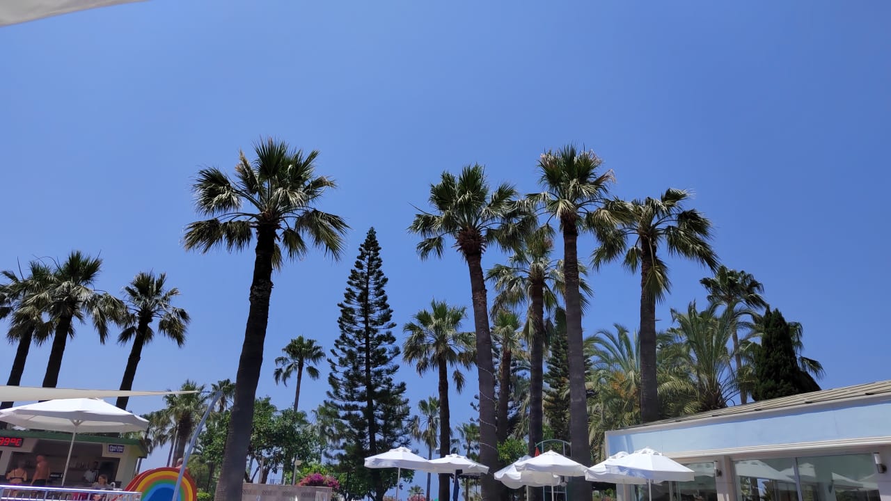 Pool Seher Kumköy Star Resort & Spa