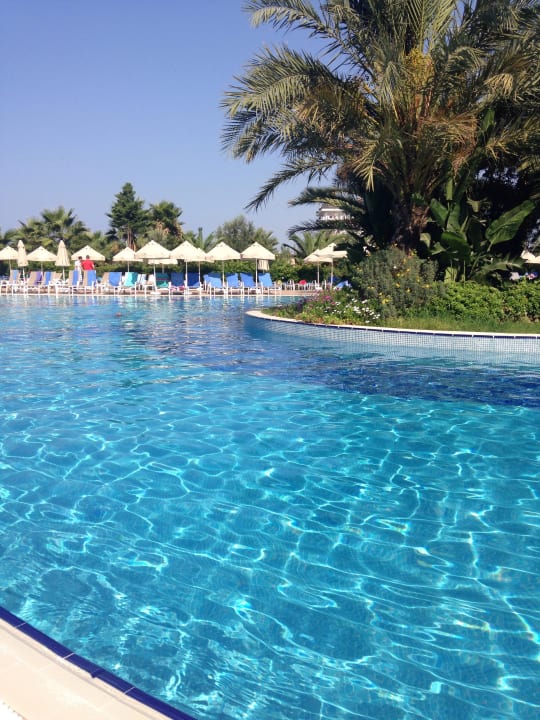 Pool Seaden Sea World Resort & Spa