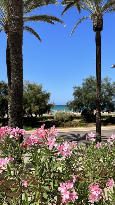 Ausblick allsun Hotel Pil-lari Playa