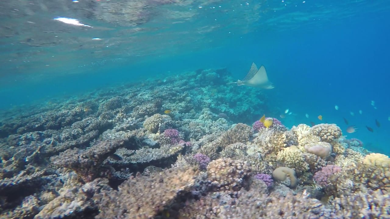 Sport & Freizeit Cleopatra Luxury Resort Makadi Bay